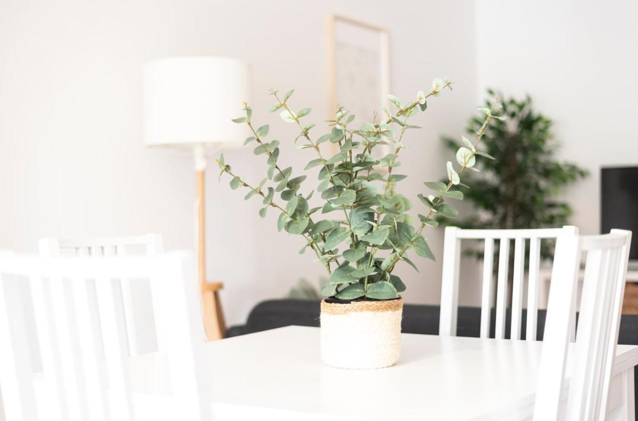 Apartamento Tierra Φερόλ Εξωτερικό φωτογραφία